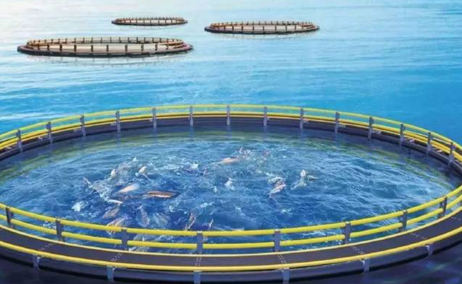 1662378005114343.png 圖片2.png